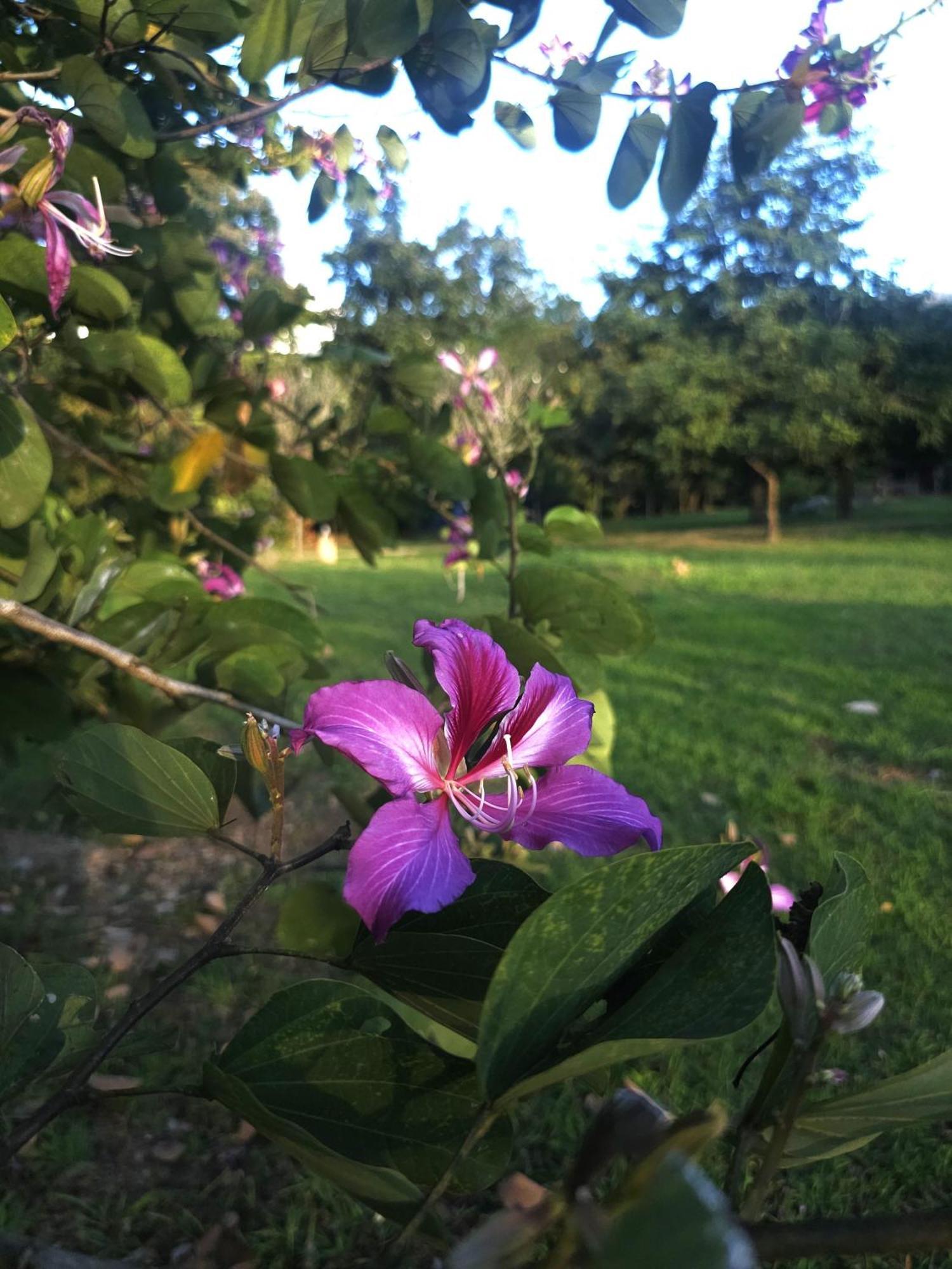 Pai Kiniman Resort 외부 사진