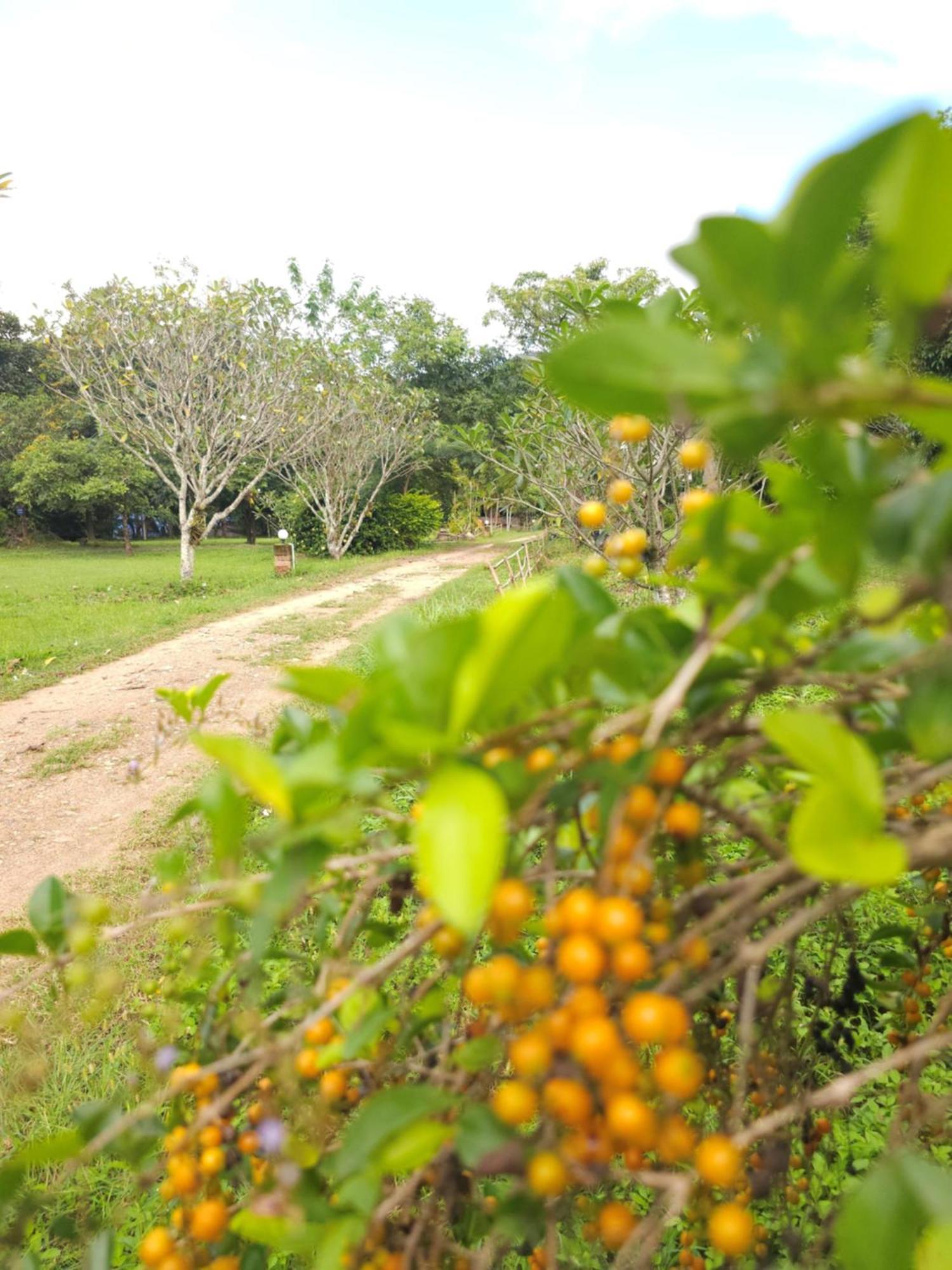Pai Kiniman Resort 외부 사진